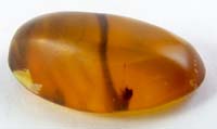 Fake amber(from China via Ebay) #